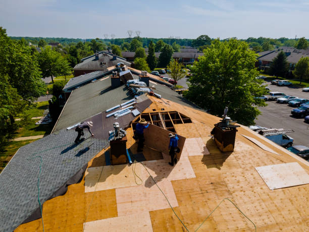 Trusted Roof Installation service in Willard, KY - Brentwood Metal Roofing